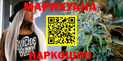 МДПВ Кингисепп