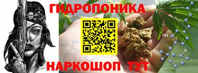 МДПВ Кингисепп